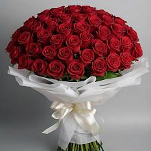 Букет 101 Красная роза Блэк Мэджик в Спасске Кемеровской области