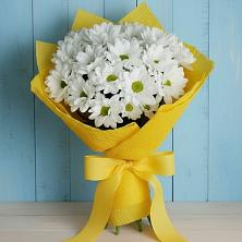 Букет цветов из:  Хризантемы в Спасске Кемеровской области