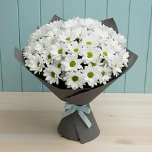 Букет цветов из:  Хризантемы в Спасске Кемеровской области