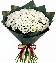 Букет цветов из:  Хризантемы в Спасске Кемеровской области