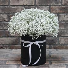 Цветочная композиция из Гипсофила в шляпной коробке в Спасске Кемеровской области