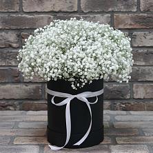 Цветочная композиция из Гипсофила в шляпной коробке в Спасске Кемеровской области
