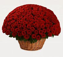 Премиум букет из: Розы в Спасске Кемеровской области