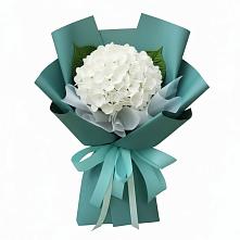 Букет цветов из:  Гортензия в Спасске Кемеровской области